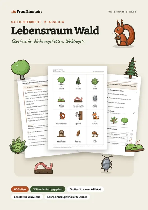 Paket: Lebensraum Wald, Klasse 3/4